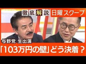 【予算案の衆院通過で交渉激化】与野党が協議“年収の壁と教育無償化”膠着打開の策は【日曜スクープ】(2025年2月16日)ANNnewsCH