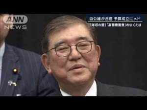 高校無償化など柱も…残る“壁”は　予算修正 与党・維新と正式合意【報道ステーション】(2025年2月25日)ANNnewsCH