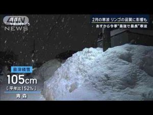 「不要不急の外出控えて」今夜から積雪急増の地域も…“最強・最長”寒波に厳重警戒【報道ステーション】(2025年2月3日)ANNnewsCH