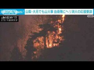 山梨・大月の山火事　自衛隊にヘリ消火の応援要請(2025年2月27日)ANNnewsCH