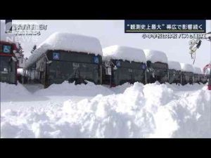 “市民の足”は止まったまま…“歴史的大雪”北海道帯広市で影響続く【報道ステーション】(2025年2月5日)ANNnewsCH