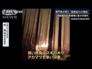 専門家が見た「延焼拡大理由」平成以降“最大規模”大船渡火災　市街地に拡大の恐れも【報道ステーション】(2025年2月28日)ANNnewsCH