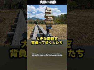 100kg以上の荷物を背負い山の中を歩く人！？この驚きの仕事とは！ #shorts岡野タケシ弁護士【アトム法律グループ】