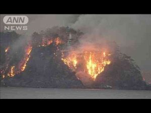 大船渡市の大規模山火事 4600人避難指示 延焼続く(2025年3月4日)ANNnewsCH