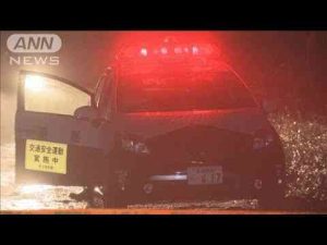 胸に傷…海岸に保育士の女性遺体 殺人事件で捜査(2025年4月14日)ANNnewsCH