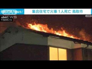 ニュース動画 | 屋根から激しい炎　鳥取市内の集合住宅で火事　1人死亡(2025年5月17日)【YouTubeおすすめ】