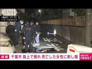 ニュース動画 | 千葉市の路上で倒れていた女性が死亡　背中には刺し傷　千葉県警が殺人事件として捜査(2025年5月11日)【YouTubeおすすめ】