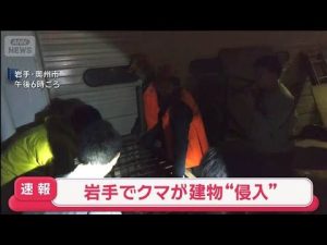 岩手県奥州市で子グマ侵入事案　住宅街と警察の対応状況 – 炎上リサーチ