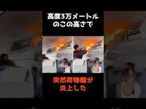 高空で発生した飛行機の炎上事件とその対応策 – 炎上リサーチ