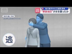 執行猶予中の男が釈放後に少女を傷つけた事件の最新情報 – 炎上リサーチ
