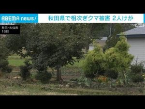 秋田県で続発のクマ被害｜負傷者多数、今も警戒呼びかけ – 炎上リサーチ