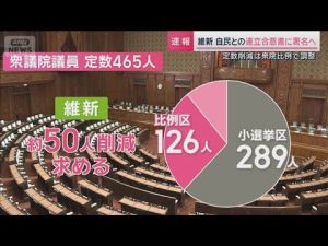 議員定数削減の影響：中小政党の危機と調整の行方 – 炎上リサーチ